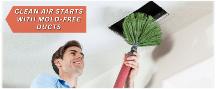Air Duct Mold Removal in Cicero IL