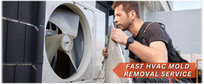 HVAC Mold Removal Cicero IL
